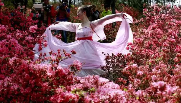 黄陂云雾山杜鹃花开古装女子花海起舞似仙女下凡