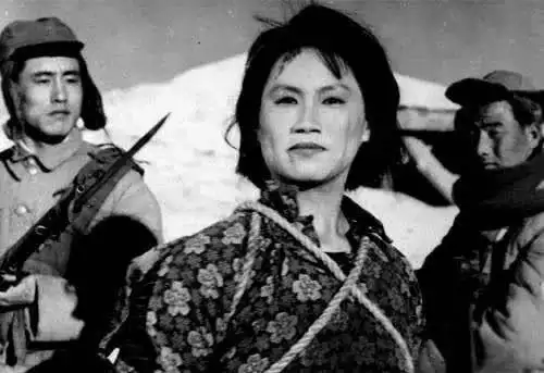 网络图片资料啊,赵一曼我们的民族女英雄1935年的枪声还在响你腿部中