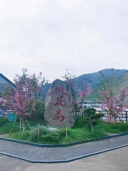 研究生只有船票半价,景点不半价下船做公交车8块钱直接到景点桃花寨