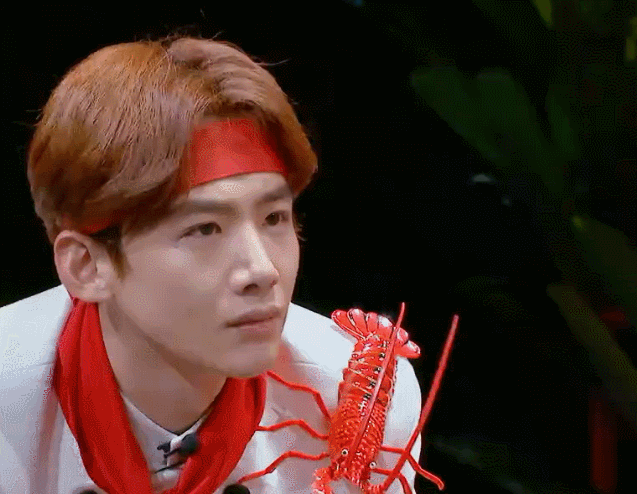 明星大侦探哦白敬亭搞笑真人秀大虾gif动图_动态图_表情包下载_soogif