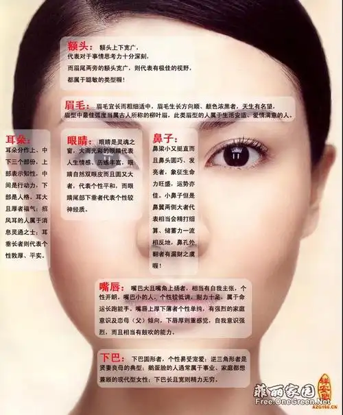 女人看面相分析
