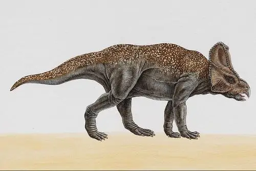 imlila从ヅ掾ろデ转采于2018-11-30 10:43:46恐龙动物插画imlila该