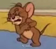 猫和老鼠/汤姆猫/杰瑞鼠/沙雕/头像/表情包/可爱/卖萌