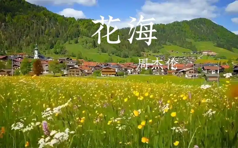 周杰伦【花海】,将这一春天花海的温柔,送给最爱的人.