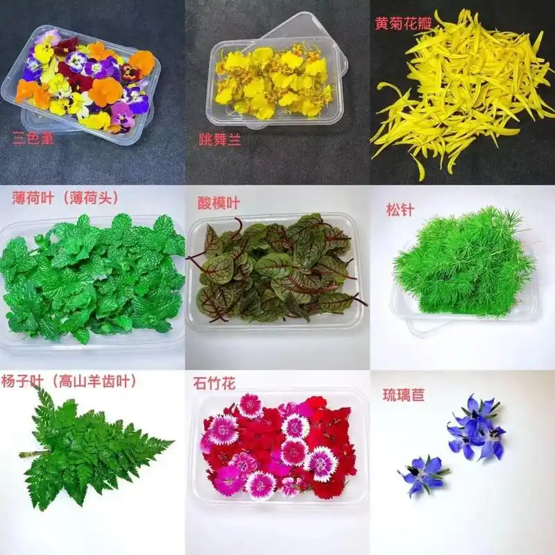 我的厨房日记 酒店常用摆盘装饰花草#美食 #抖音美食推荐官 - 抖音