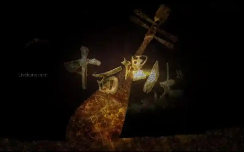 琵琶演奏十面埋伏演出视频背景