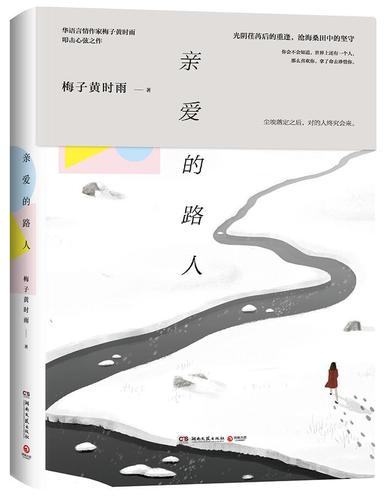 亲爱的路人书梅子黄时雨言情小说中国当代 小说书籍