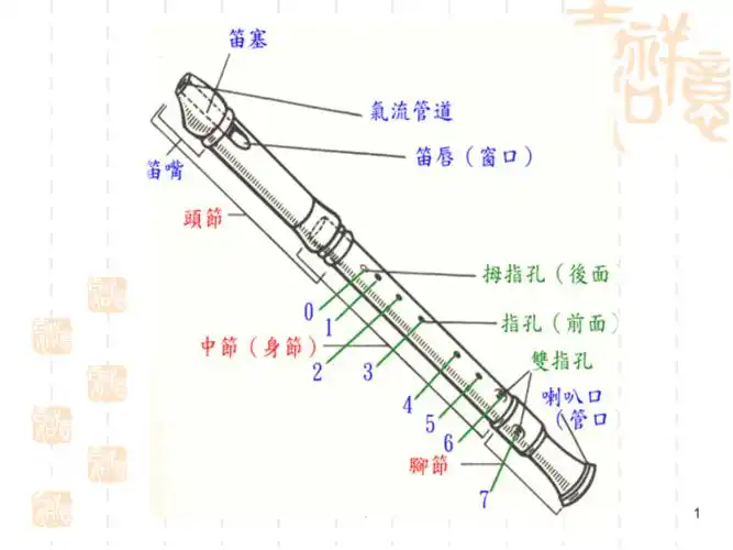 竖笛入门及基础教学