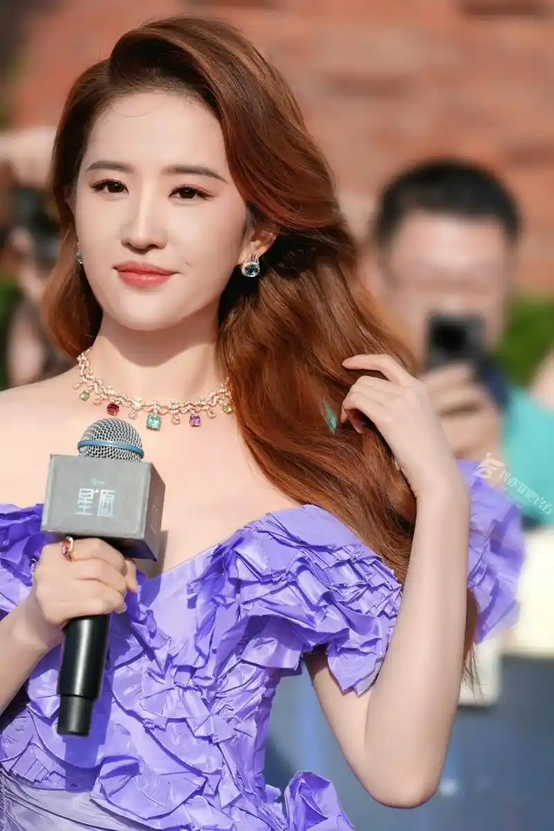 刘亦菲迪士尼星愿首映礼活动图.