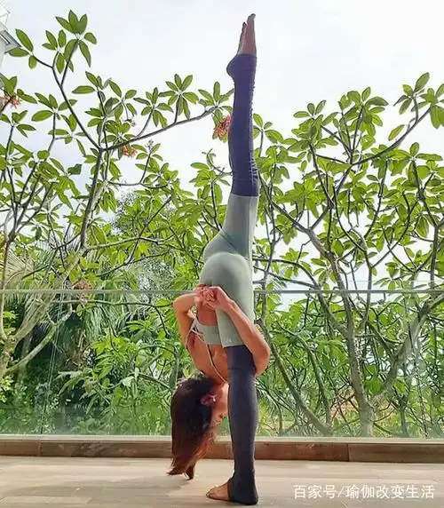 瑜伽"开胯"4式,隔着屏幕都感觉自己被撕裂了!