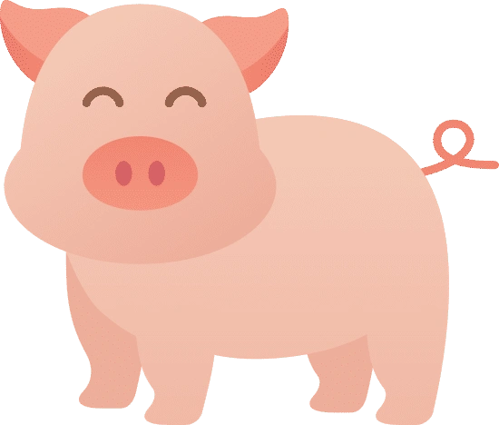 pig icon