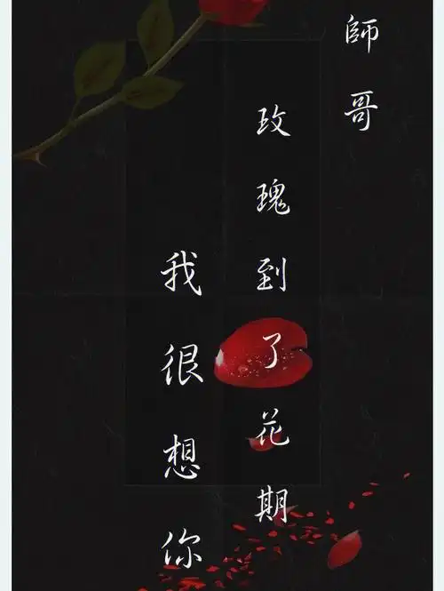 碎玉投珠名台词