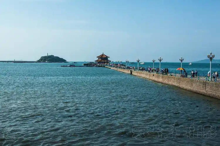 青岛大爷冬练三九夏练三伏在人流如织的栈桥上每天都排着队去跳海