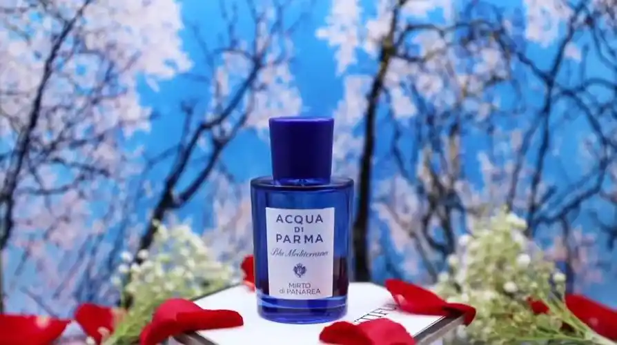 帕尔玛之水桃金娘加州桂75ml香调木质馥奇香调前调桃金娘罗勒柠檬香