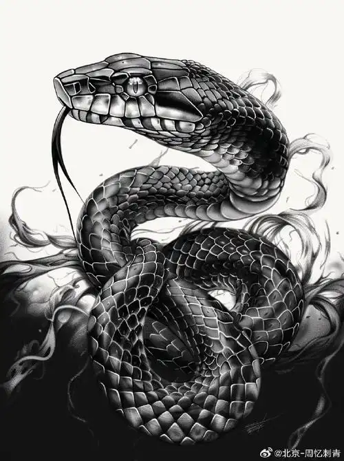 图案分享    蛇纹身    #纹身分享##纹身设计##北京纹身店##纹身素材