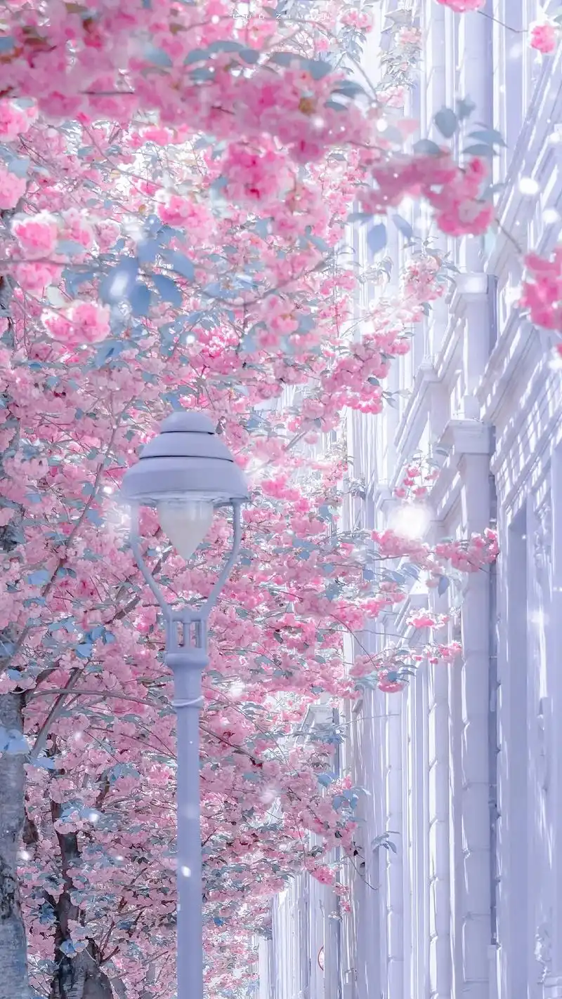 风起回眸,忽而立夏#治愈系壁纸 #抖音图文来了 #治愈系 - 抖音