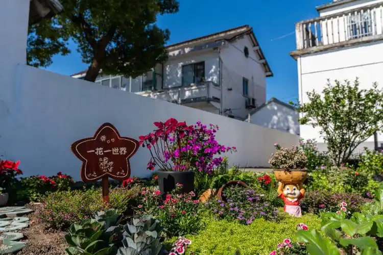 曙光村小花园曙光村依托草莓核心区域和乡村特色优势资源,做强乡村