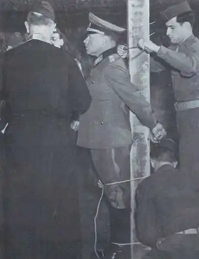 二战时枪毙德军将军的照片组图