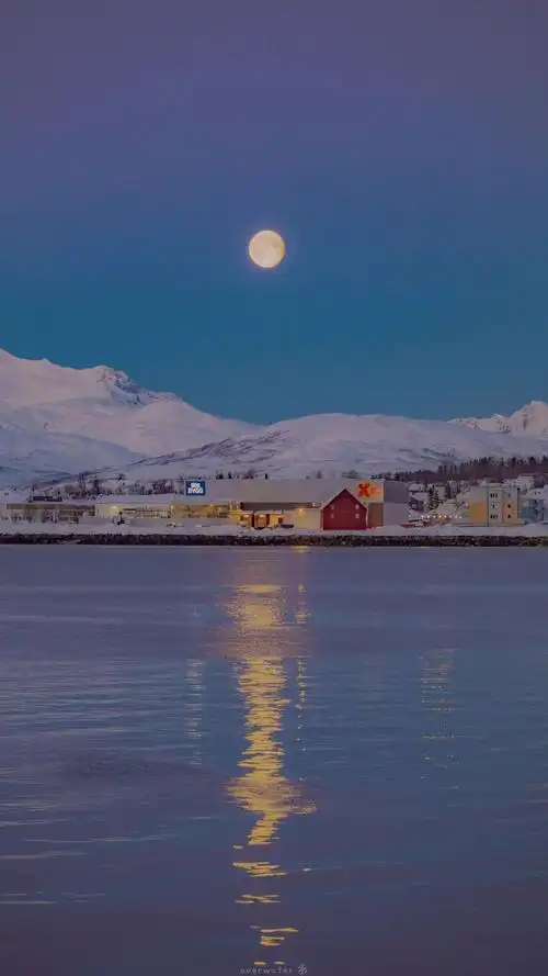 超清全面屏壁纸