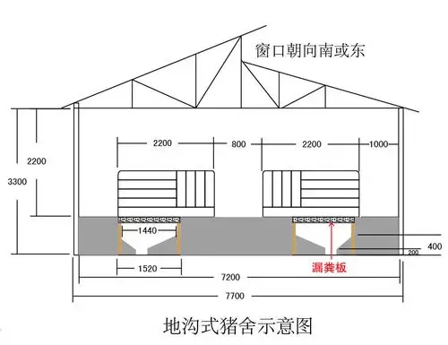 现代化猪场建设,河南牧原公司模式的现代化猪场设计,建造