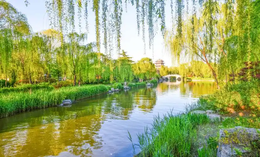 其它 大明湖的春天 写美篇大明湖的春天,具有独特的美景.