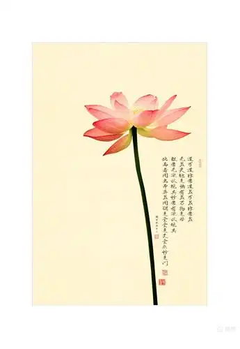 禅定无烦恼,心如莲花开.