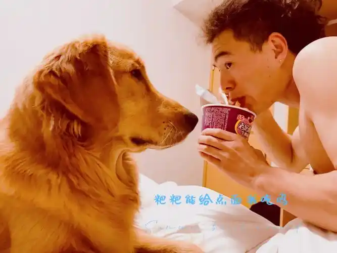 快满三岁了,我们也从一开始觉得是麻烦的狗狗现在变得像自己的孩子,家