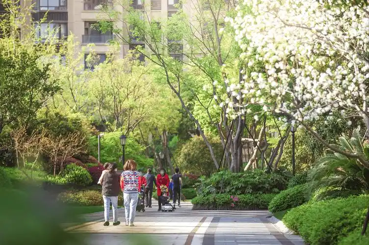 龙湖:"种树公司"做景观的n个细节,真的也是走心了_香樟_植物_小区