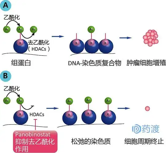 是2015年2月23日由美国fda批准上市的组蛋白去乙酰化酶(histone deace