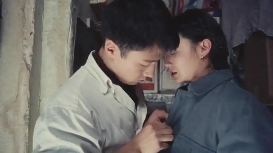 其实一切早已注定——《甜蜜蜜》(一)