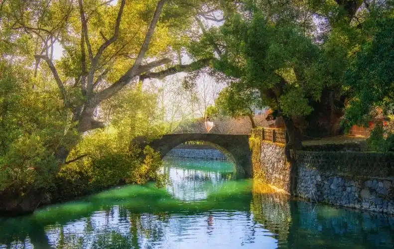 江西省人民政府驻上海办事处 最美江西 全球学子嘉游赣 | 美景如画,带