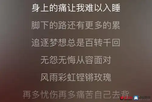 《风雨彩虹铿锵玫瑰》歌词