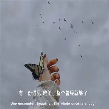 2021图片带字伤感 - 搜狗图片搜索