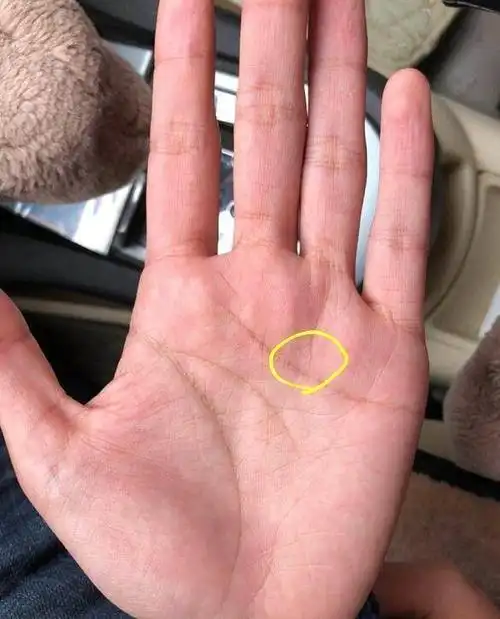 注定先苦后甜后运富贵绵长的手相特征