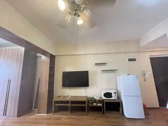 金旺角1室1厅1卫电梯房精装修50平米