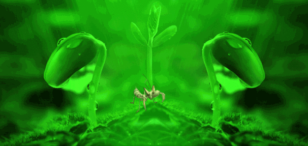 640_303gif 动态图 动图