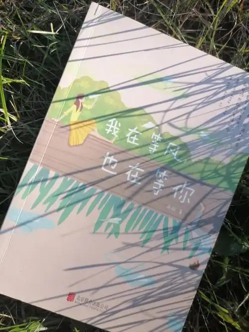 我在等风也在等你