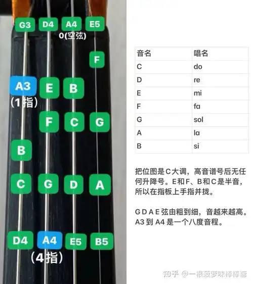 4步学会拉小提琴的正确姿势之3按弦