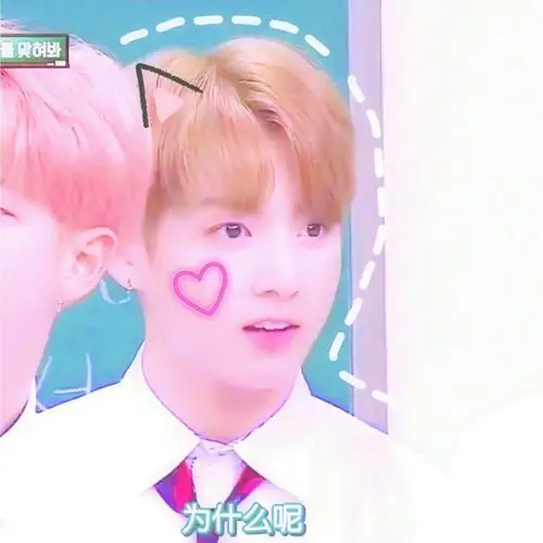 bts田柾国金泰亨头像