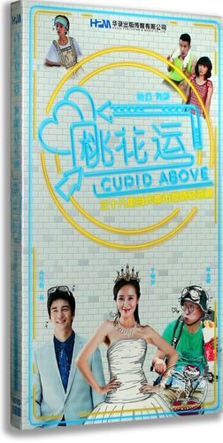 正版电视剧 桃花运盒装 8dvd 经济版林永健 于明加 都市爱情喜剧