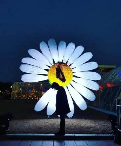 权志龙晒出的菊花为何总缺一瓣?看到他背后的大图标,有点明白了