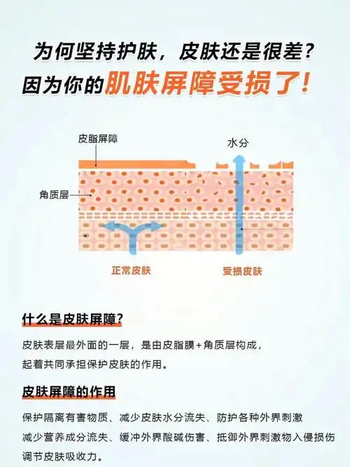 皮肤屏障到底是什么63如何自测71挽救71