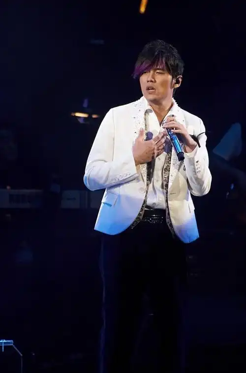 周杰伦经典造型紫毛伦