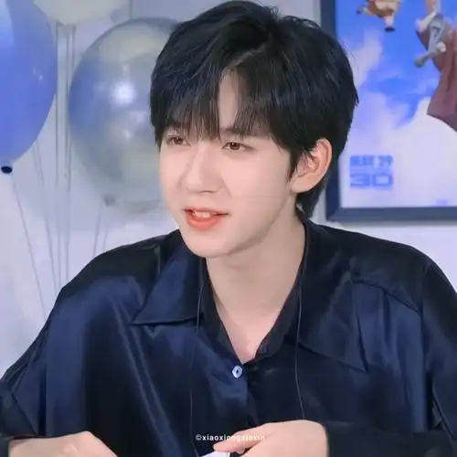 贺峻霖贺峻霖头像时代少年团赞评论更多