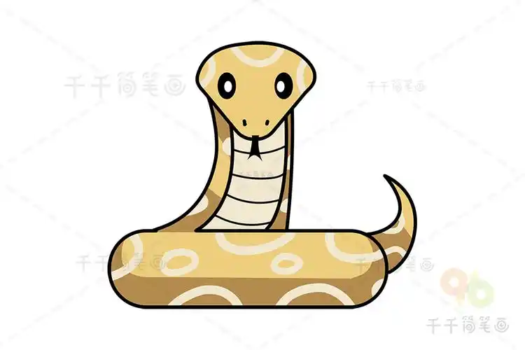 黄金蟒简笔画