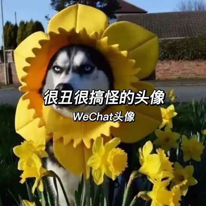 搞怪头像.搞笑搞怪中二头像#搞怪头像 #符合精神状态的搞怪头 - 抖音