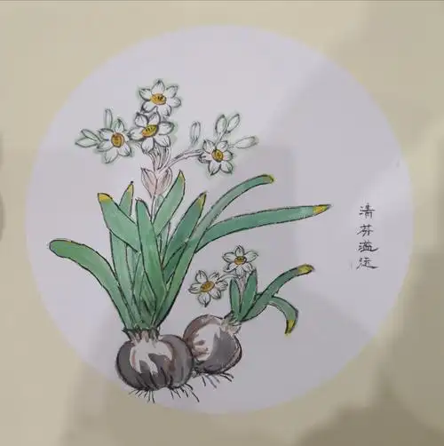 跟尤校长学画水仙花,茶花(2020 12 20)