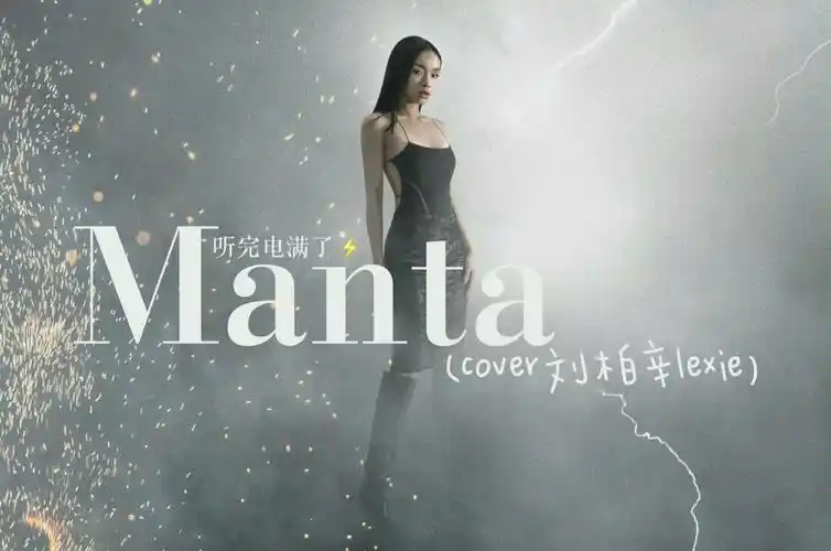 初中生翻唱mantacover刘柏辛lexie今夜我就是电音之王