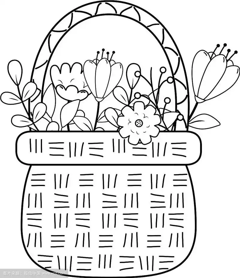 可爱的花篮草与花园