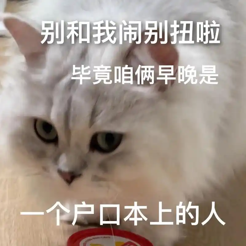 有我这么漂亮的女朋友 你小子嘎嘎命好.#发给对象表情包 #猫 - 抖音